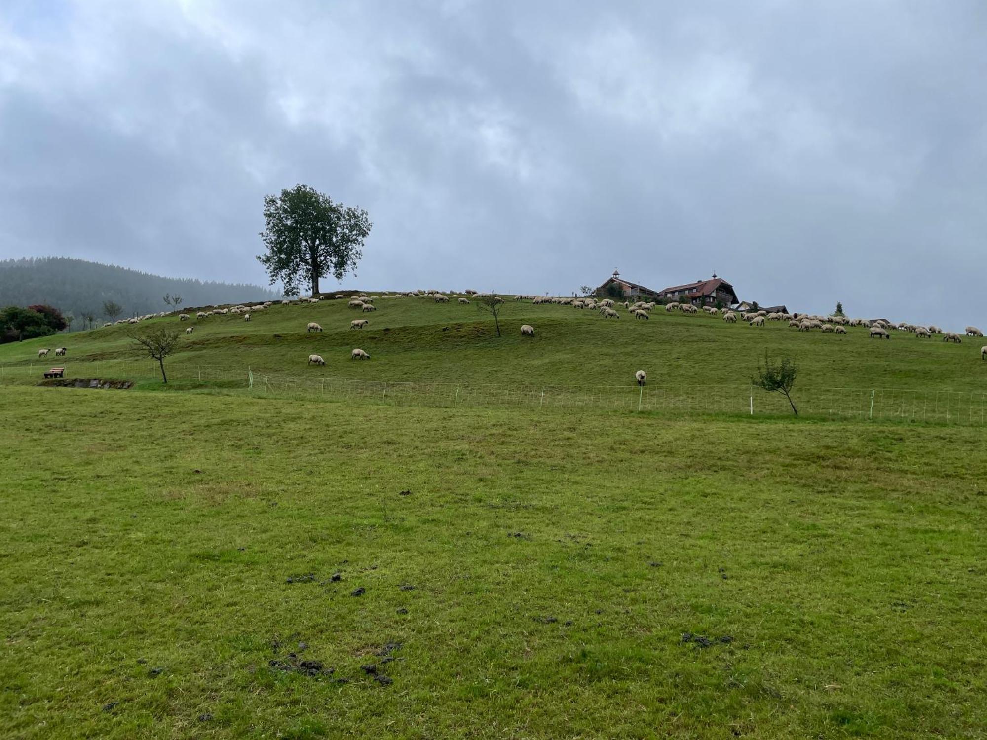 Am Baumgarten באיירסברון מראה חיצוני תמונה
